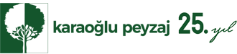 karaoglu-25-logo